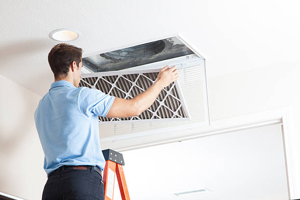 Best Air Filters and Purifiers in Gruver, TX